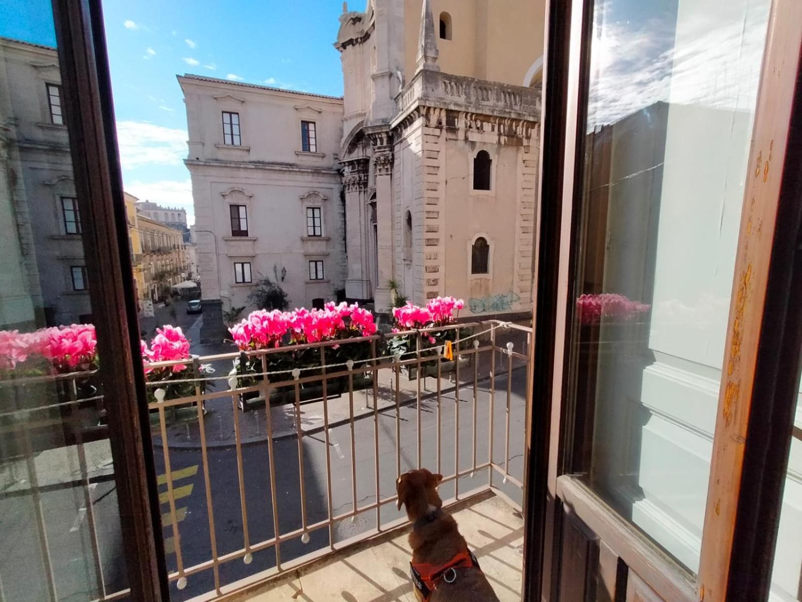 Crociferi B&B Catania-Fontanarossai nemzetközi repülőtér Kültér fotó